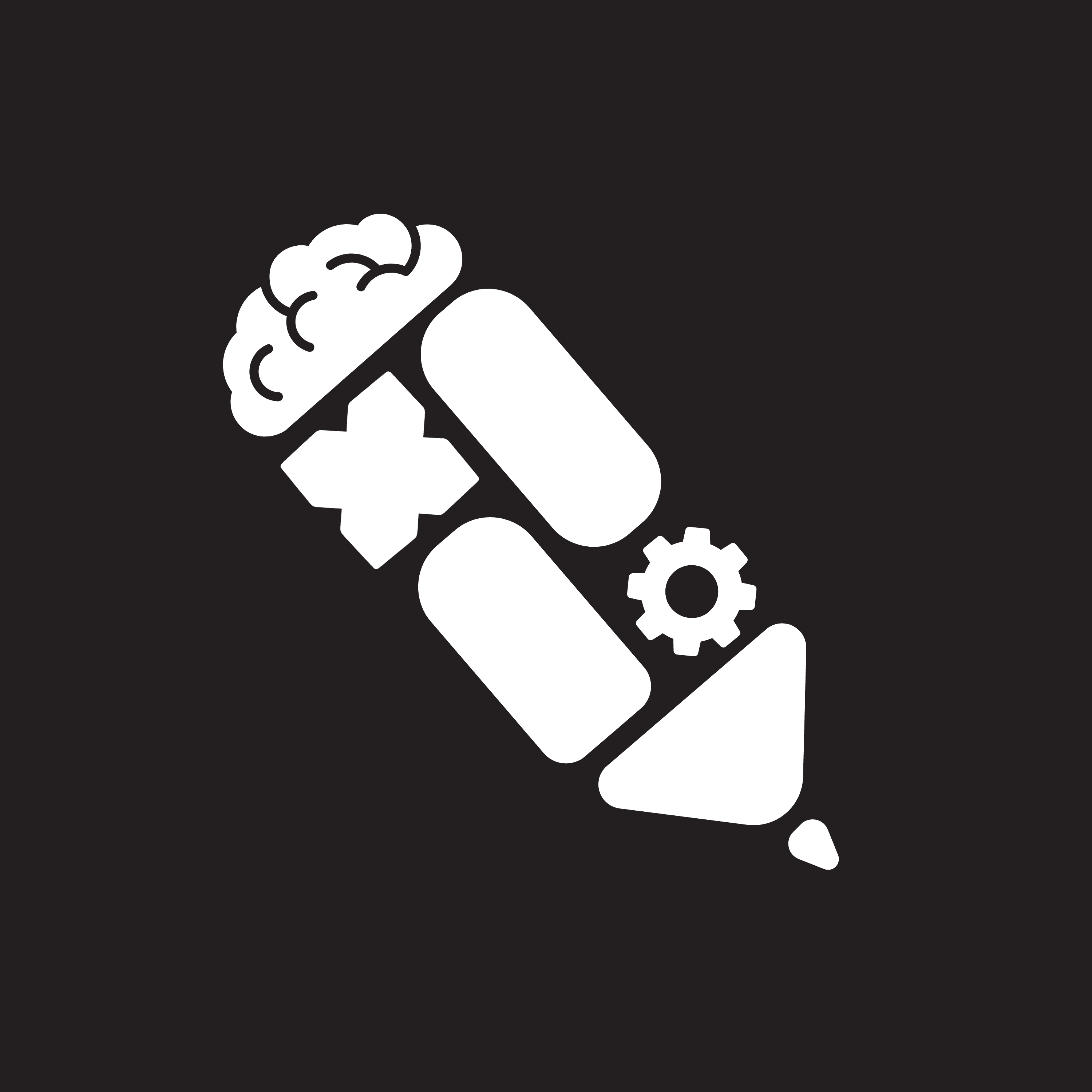 Paralume logo